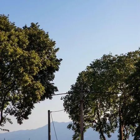 Little Fish 아파트