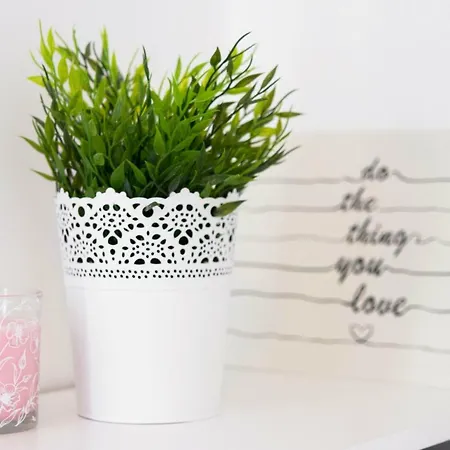 아파트 Little Fish *